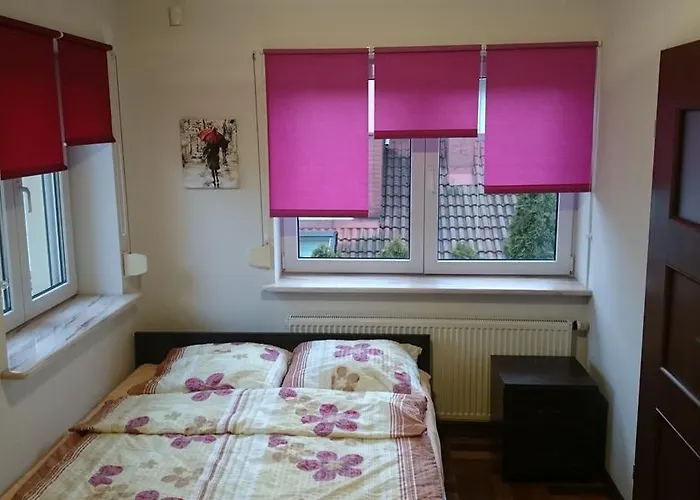 Leonik بيت شباب وارسو