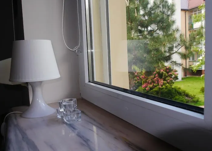 بيت شباب Leonik